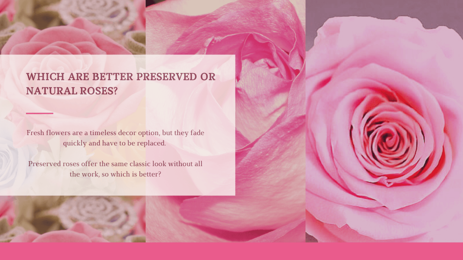 Are Preserved Flowers Better Than Natural Flowers? Preserved Flowers