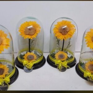 single sunflowers